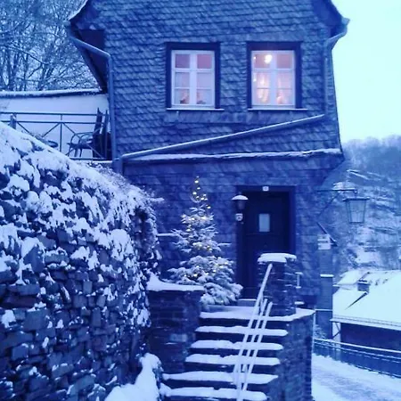 דירה Altes Direktorenhaus Seidenfabrik מונשאו