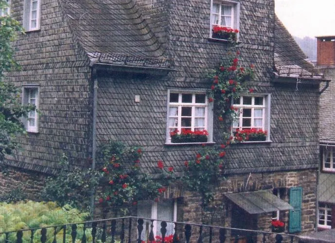 Altes Direktorenhaus Seidenfabrik דירה מונשאו